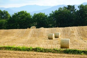 北海道で働くメリット